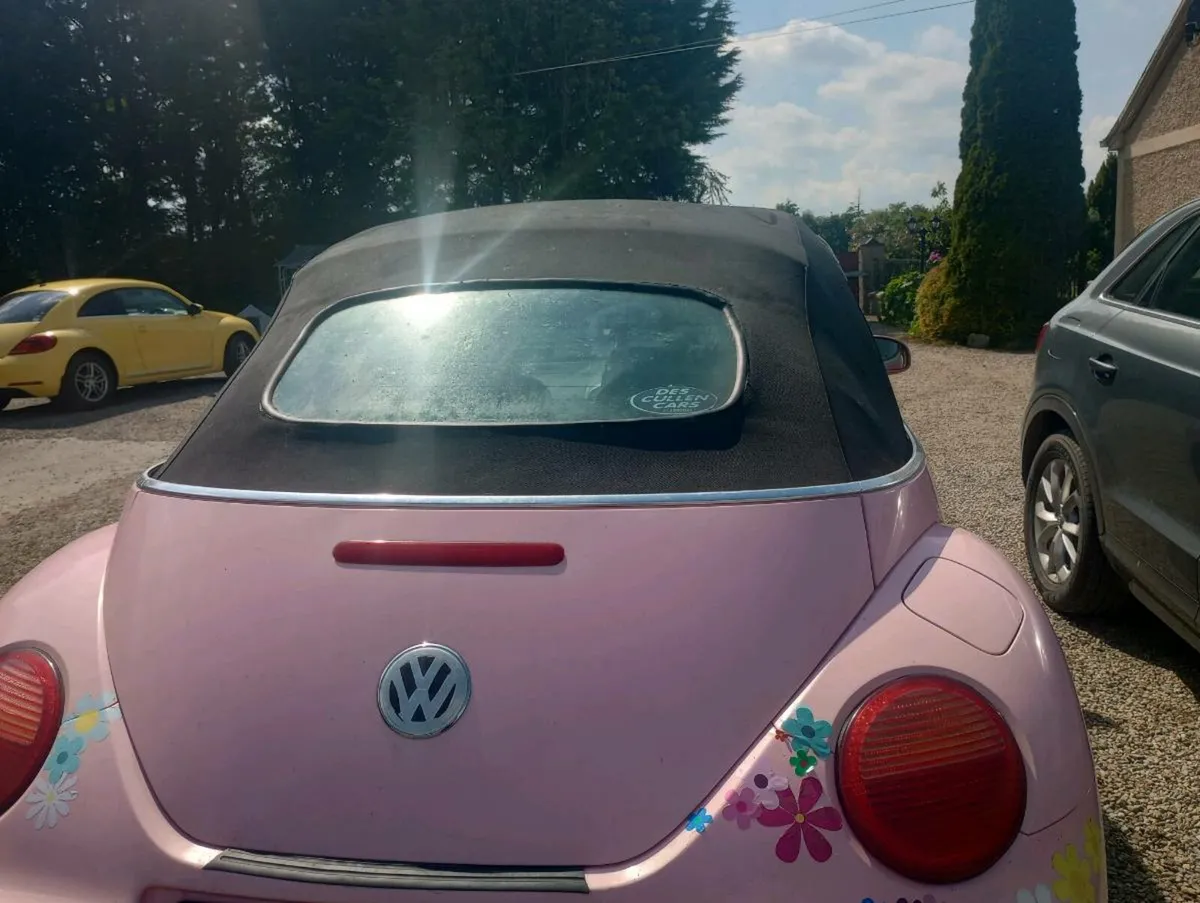VW Beetle convertible - Image 4