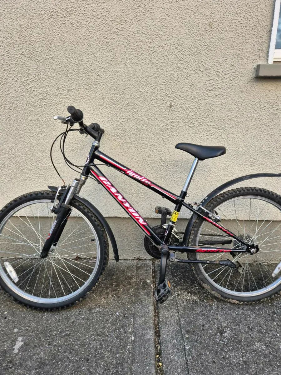 Bike - Image 1