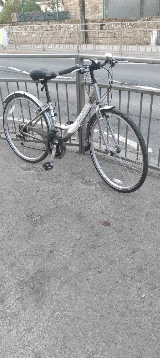Lovely ladies bike 28inch E TIENNE APOLLO - Image 2