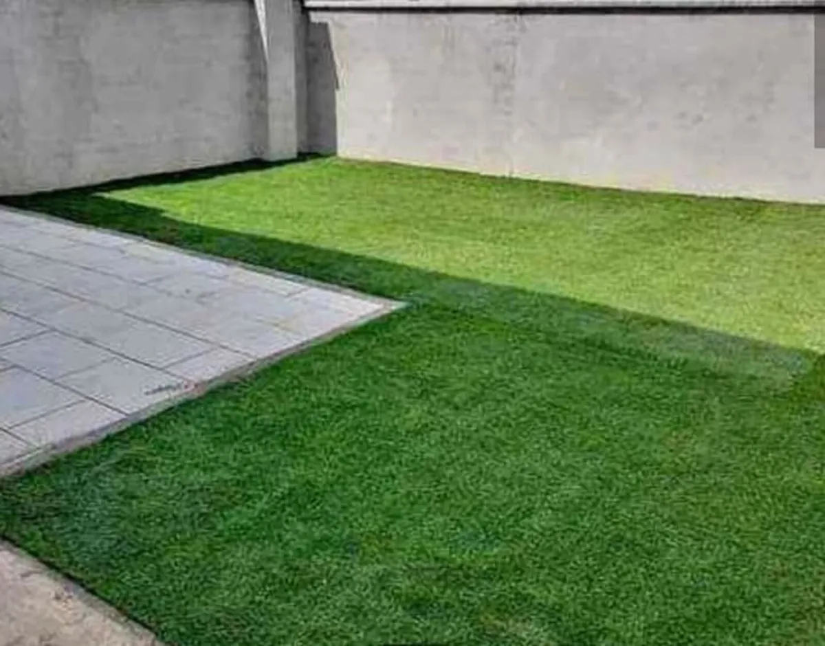 8m x 4m grass available - Image 3