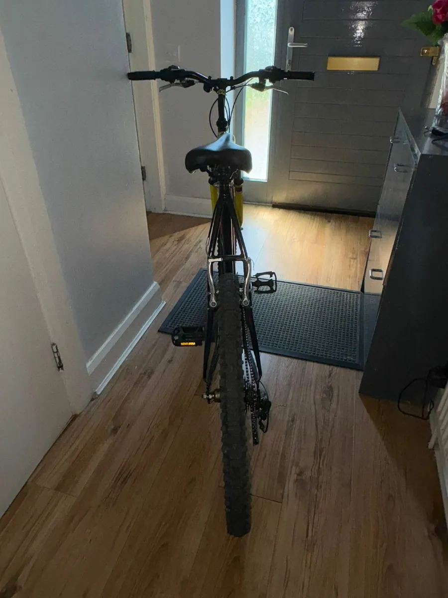 Ignite blackhawk mountain bike - Image 3