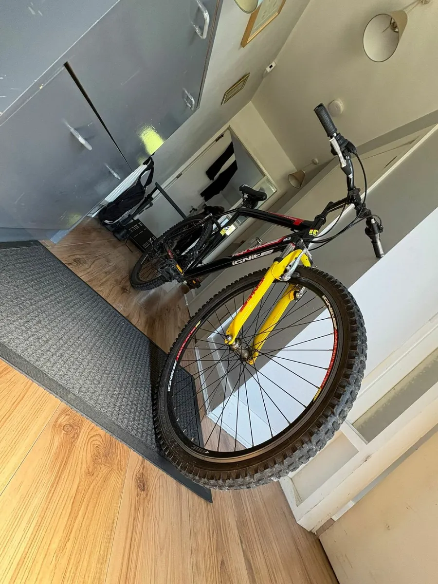 Ignite blackhawk mountain bike - Image 2