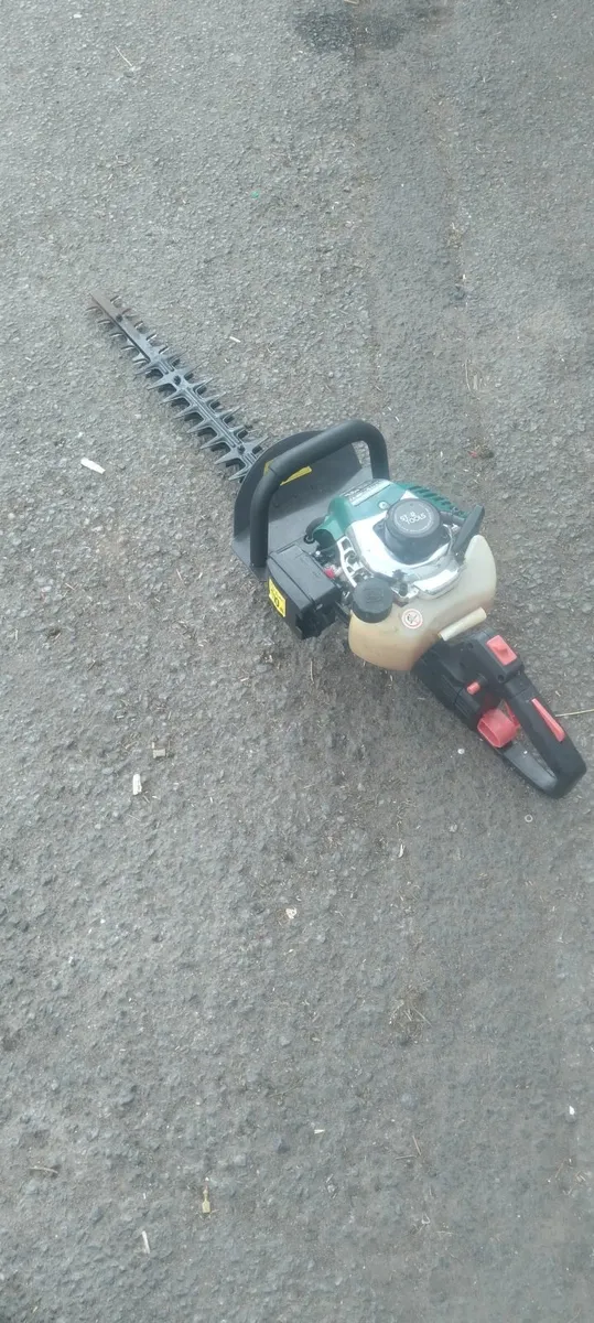 Hedge strummers running very well price - Image 1