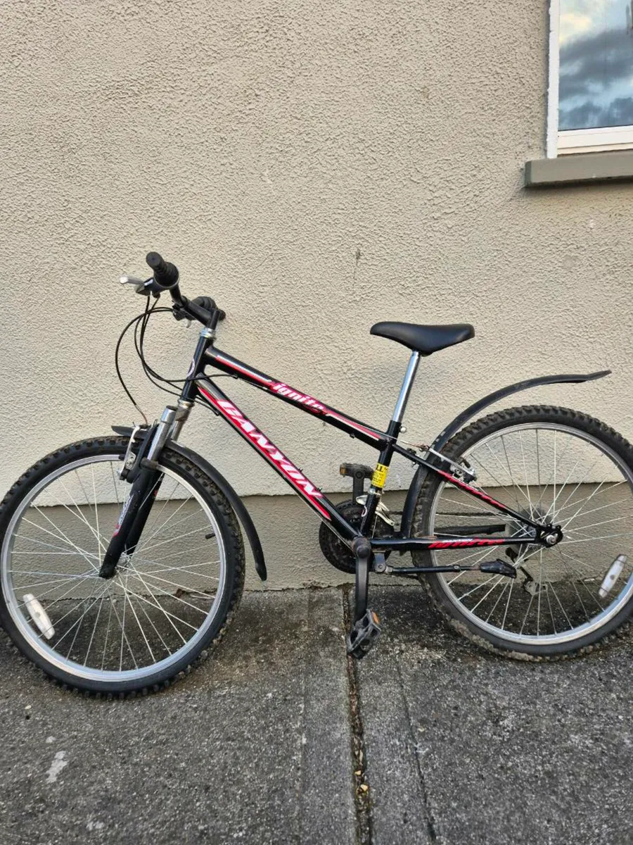 Bike - Image 3