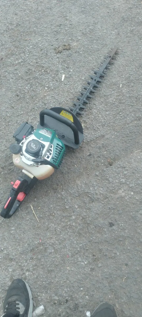 Hedge strummers running very well price - Image 4