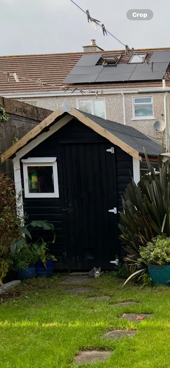 Shed free of charge to take away - Image 1