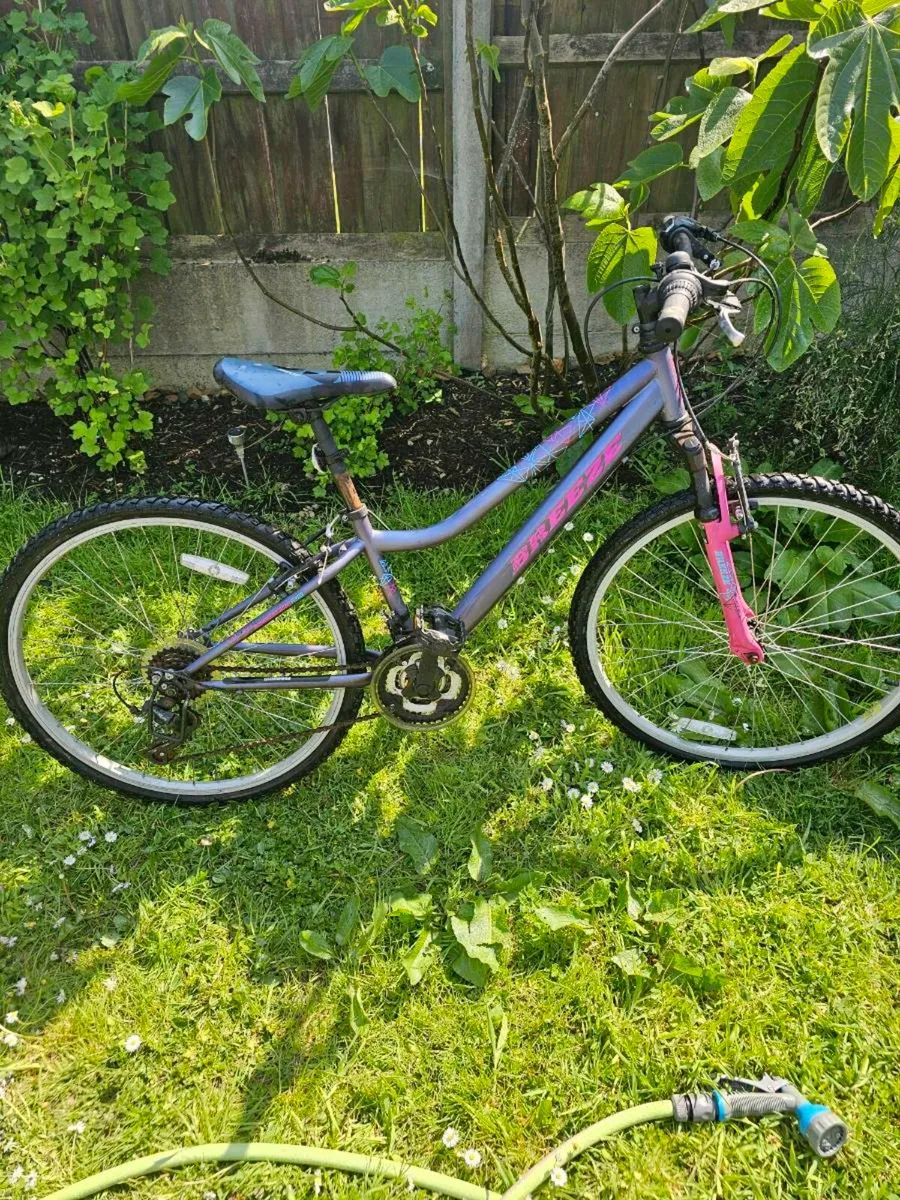 26" bike