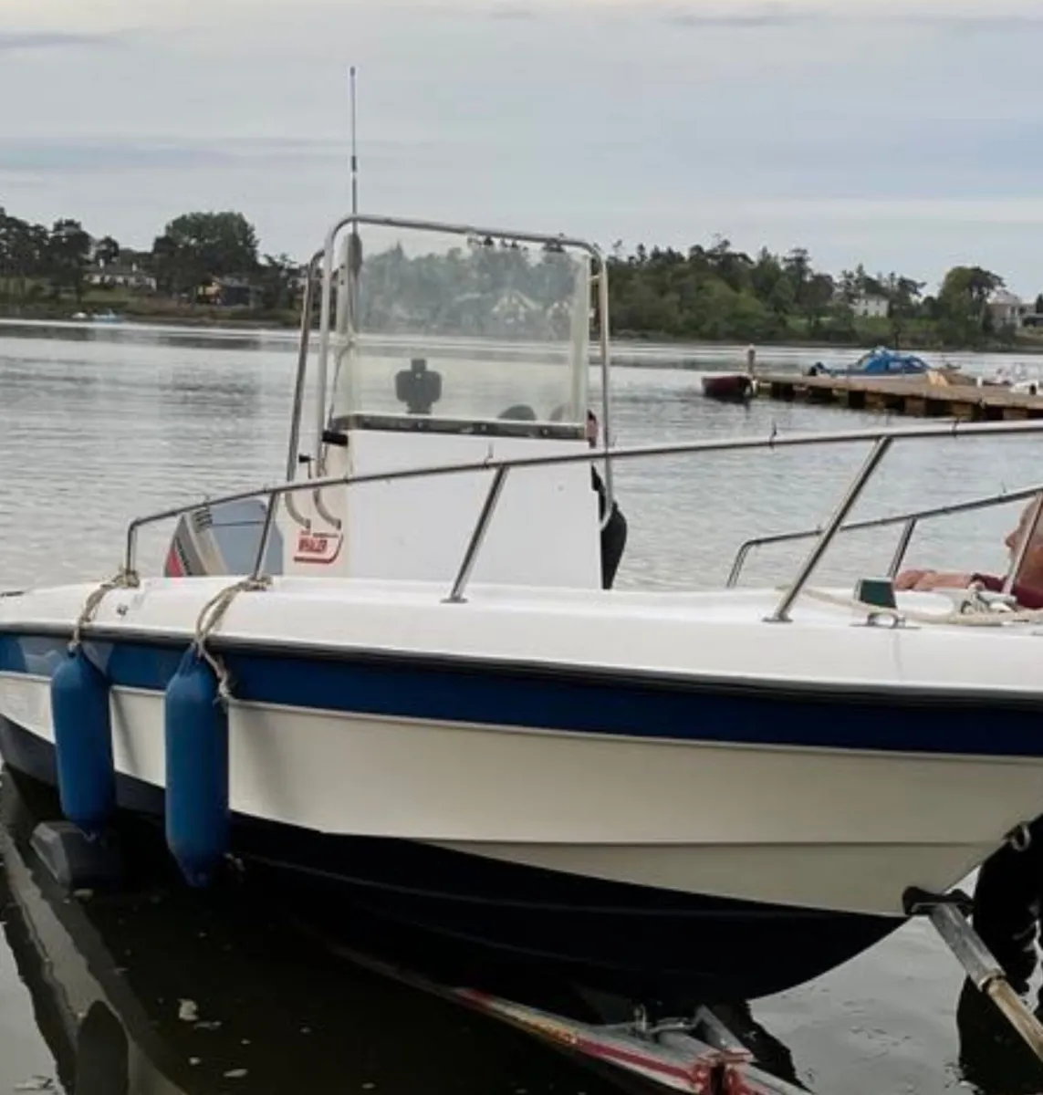 Boat Boston whaler - Image 2