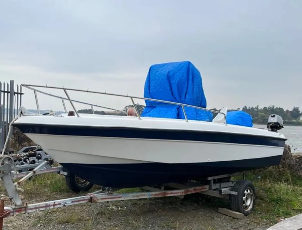 Boat Boston whaler - Image 3