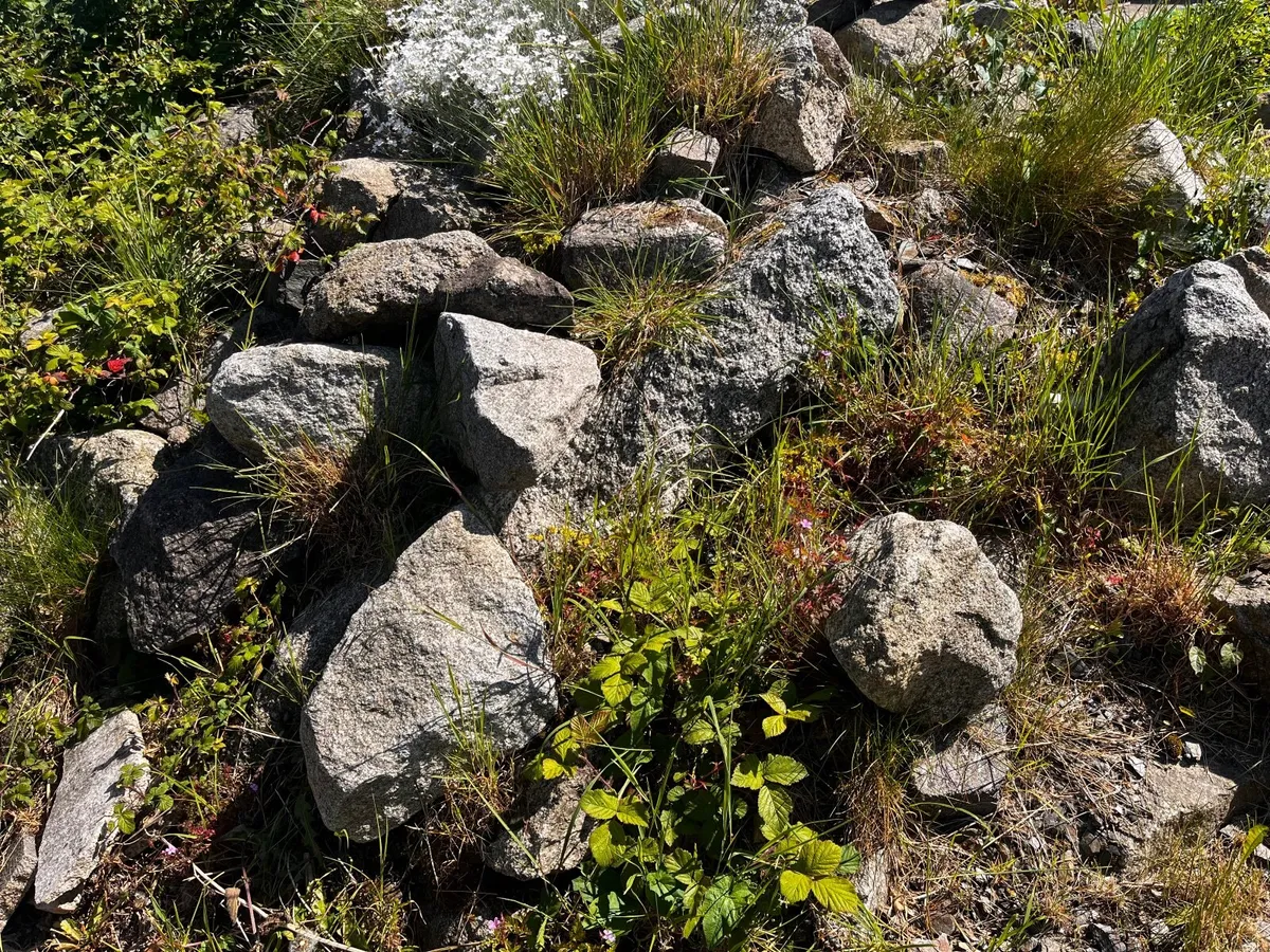 Stone - Granite Rubble (FOR FREE) - Image 3