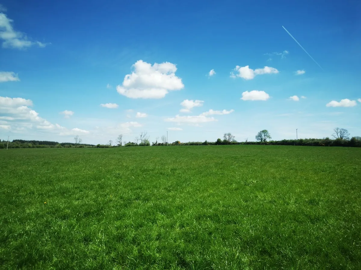 First Cut Grass Being Baled Saturday - Image 1