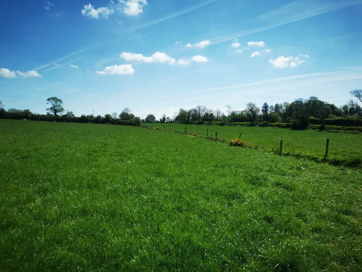 First Cut Grass Being Baled Saturday - Image 2