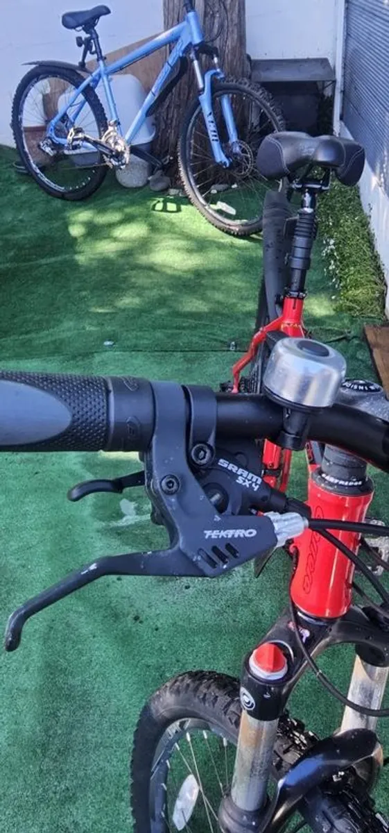 Carrera bike - Image 3