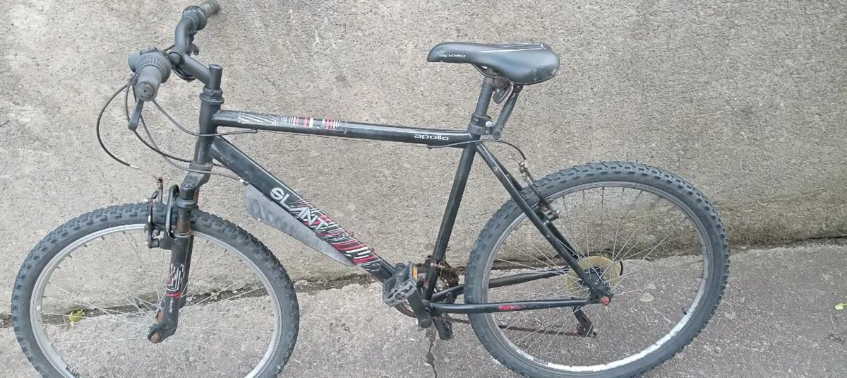 Adults bike - Image 1