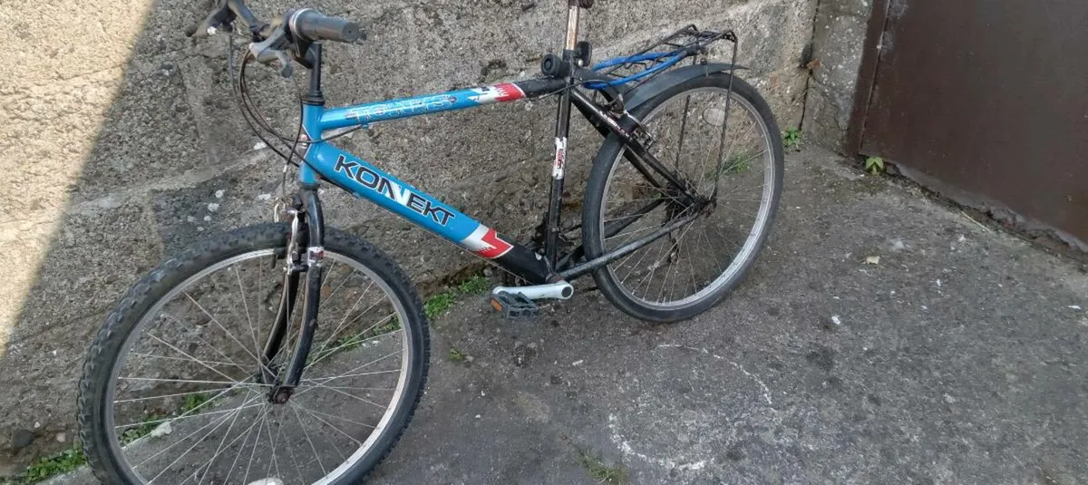 Adults bike - Image 1