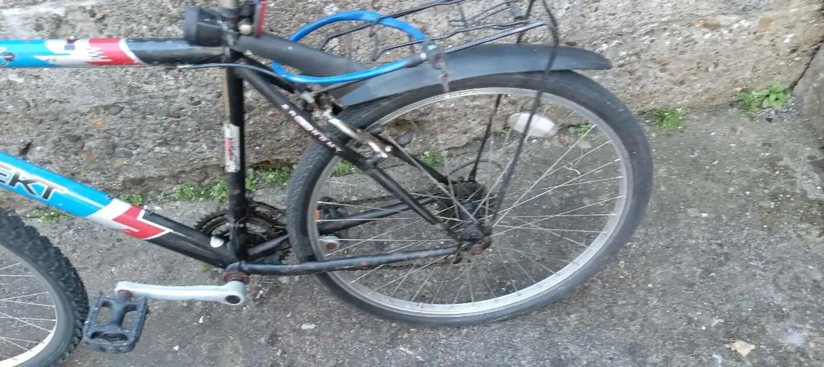 Adults bike - Image 2