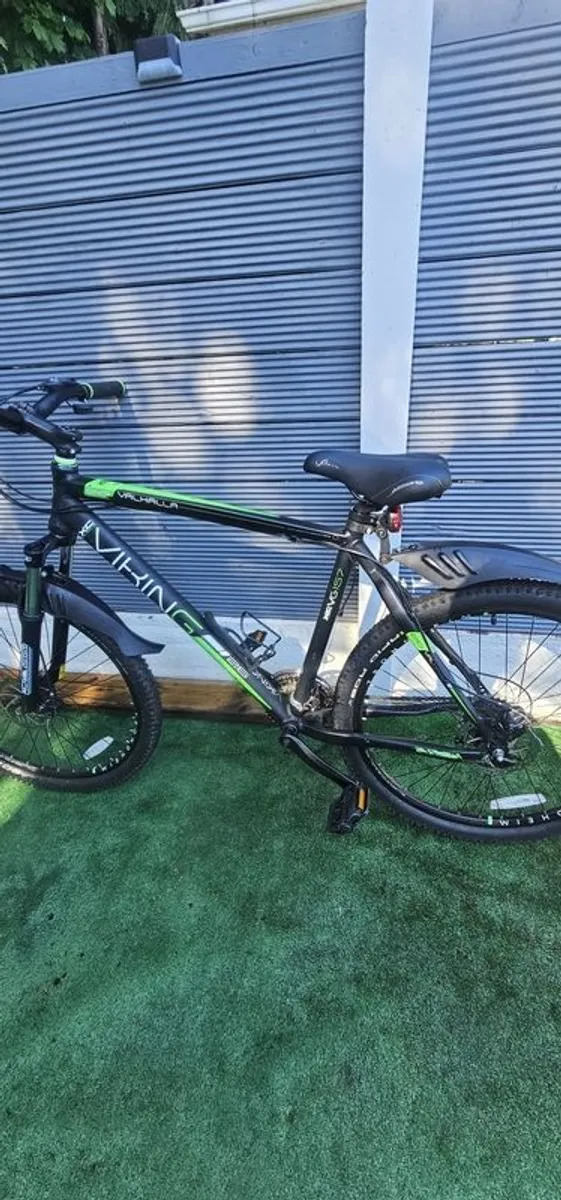 Viking bike - Image 1