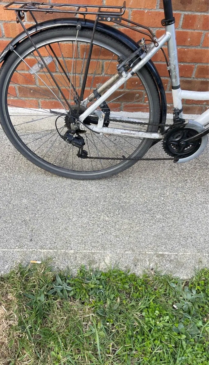 Adult bike - Image 2