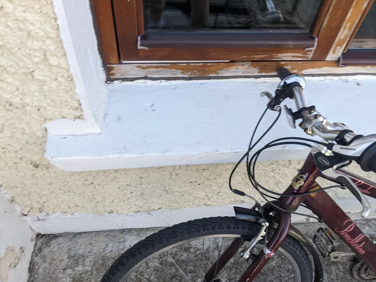Pushbike - Image 1