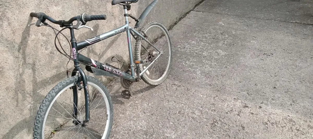 Adults bike - Image 1
