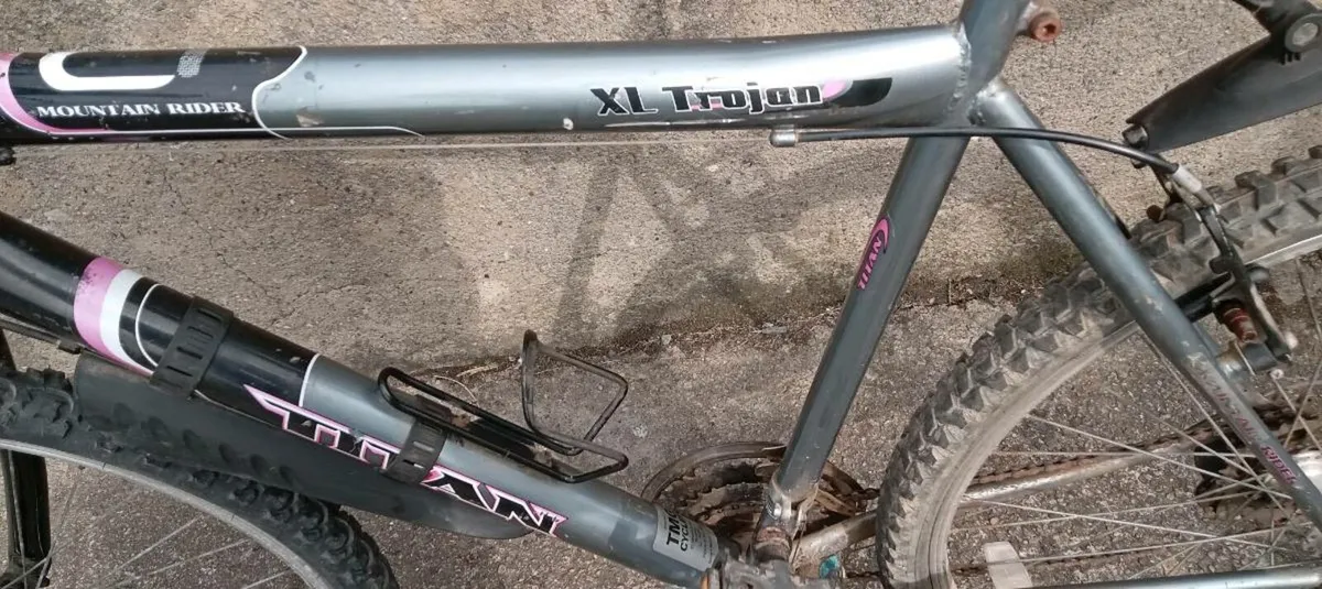 Adults bike - Image 2