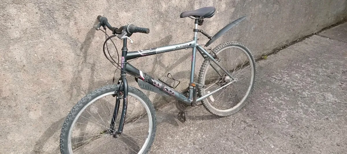 Adults bike - Image 3