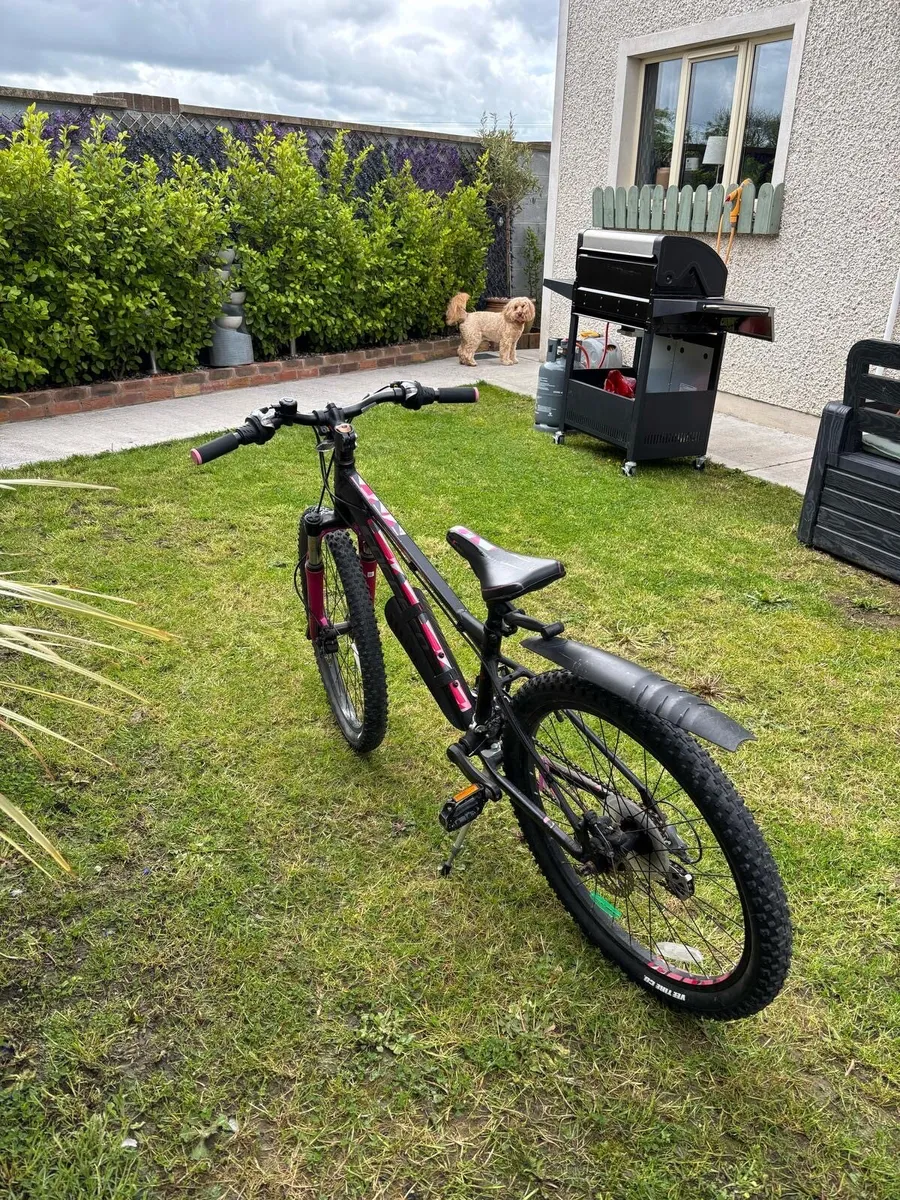 Girls Bike - Image 2