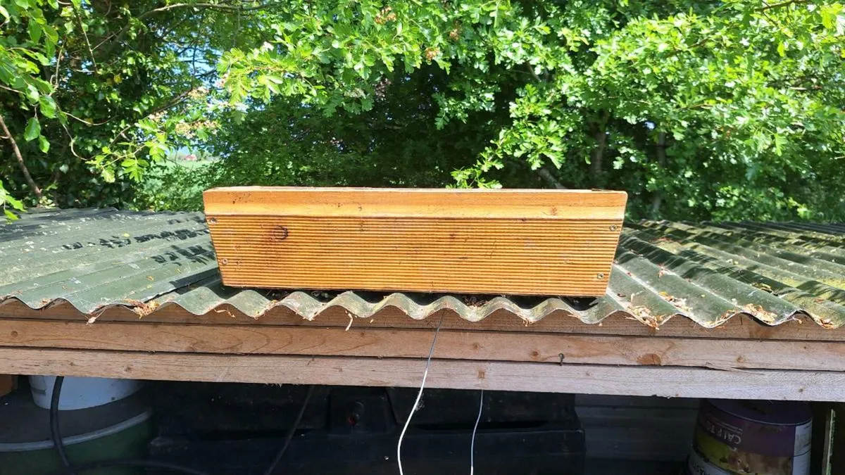 pots - Image 2