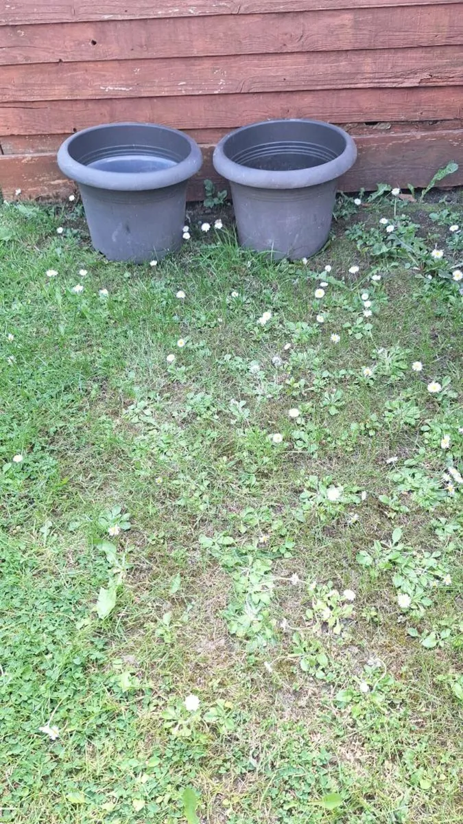 pots - Image 3
