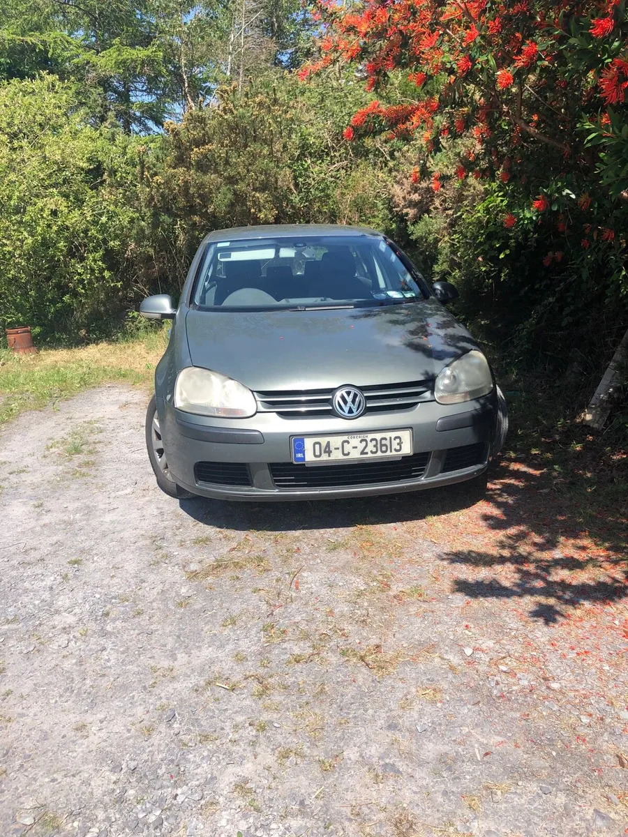 Volkswagen Golf - Image 1