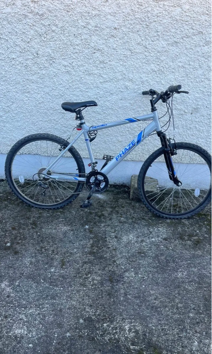 Adult Bike - Image 1