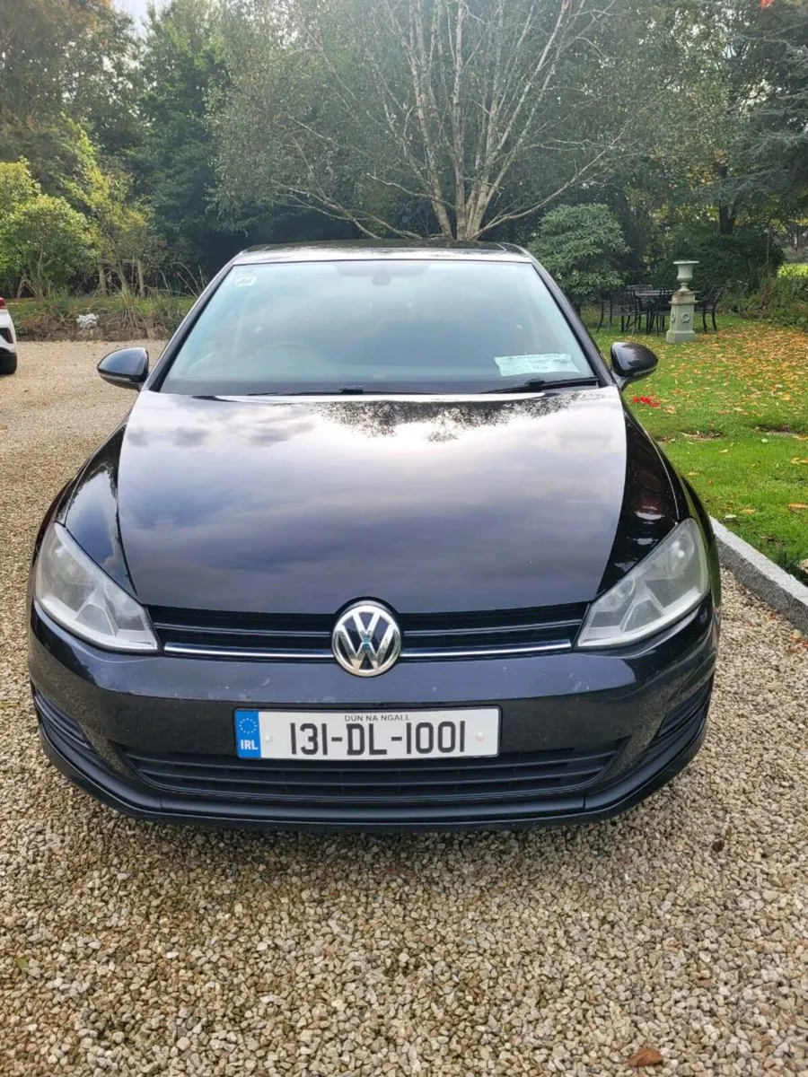 Golf 2013 - Image 2