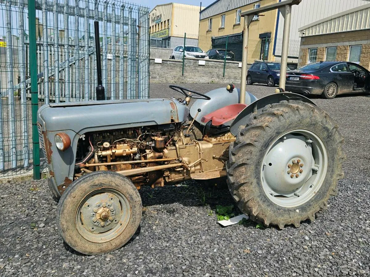 Ferguson 35 Gold Belly - Image 1
