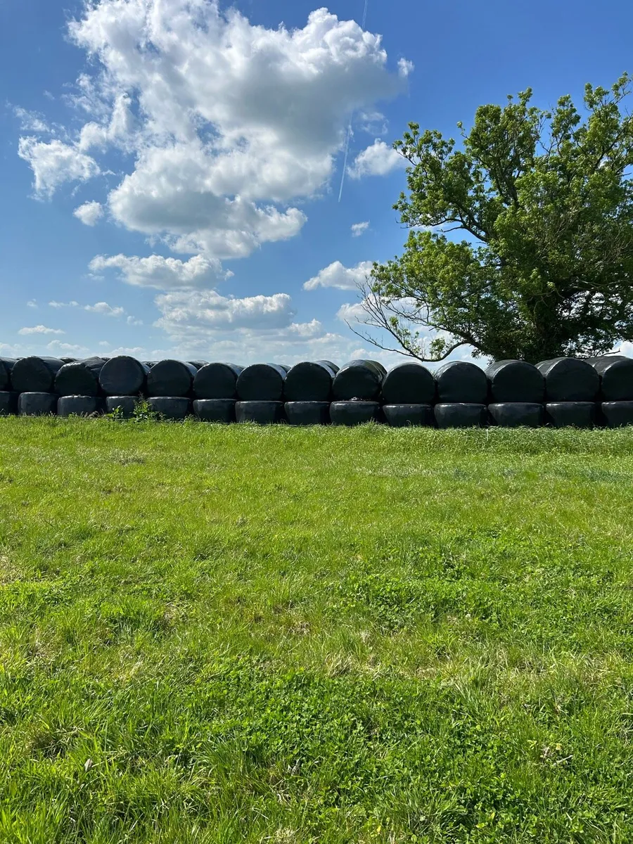 Silage bales for sale - Image 1