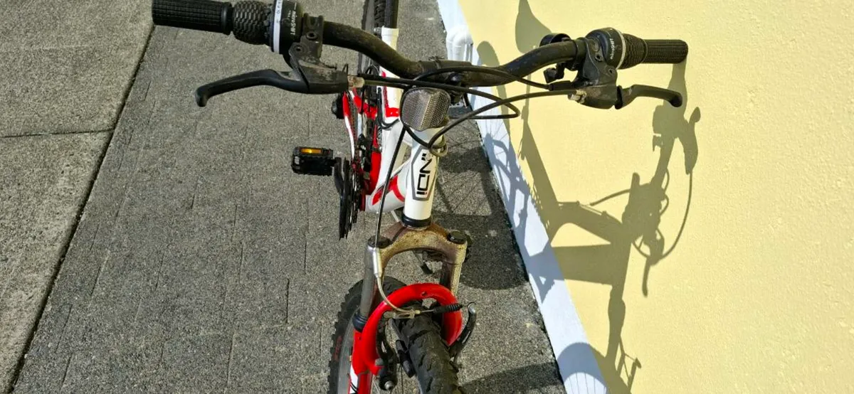 Bicycle - Image 4