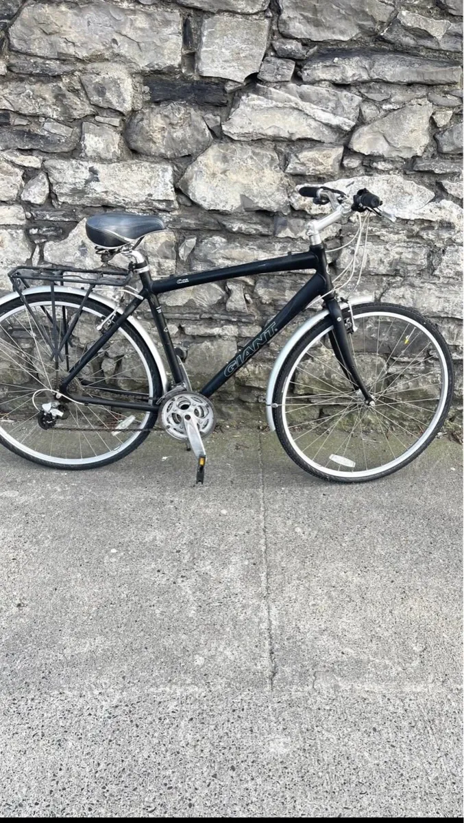Giant Bike - Image 1