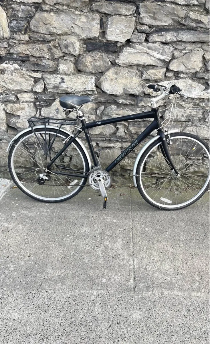 Giant Bike - Image 3