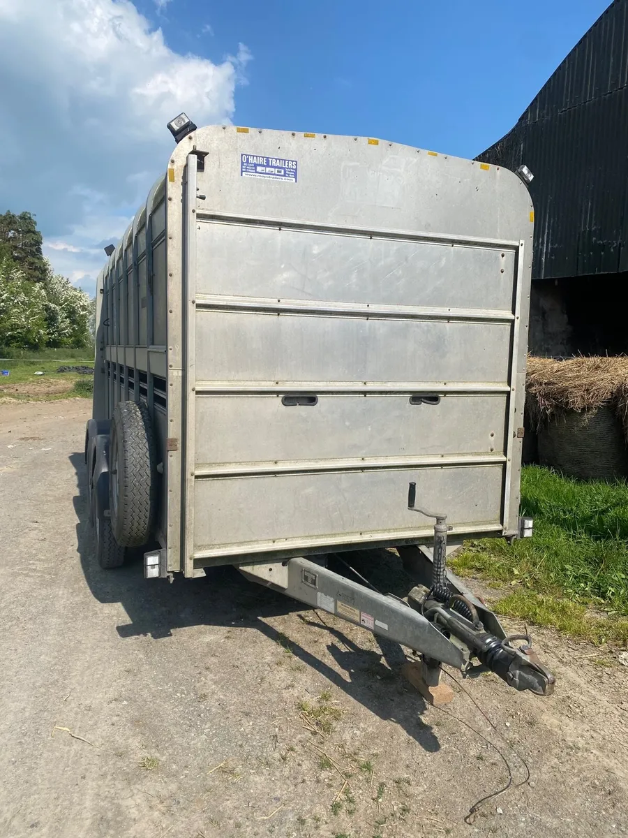 Ifor Williams trailer - Image 3