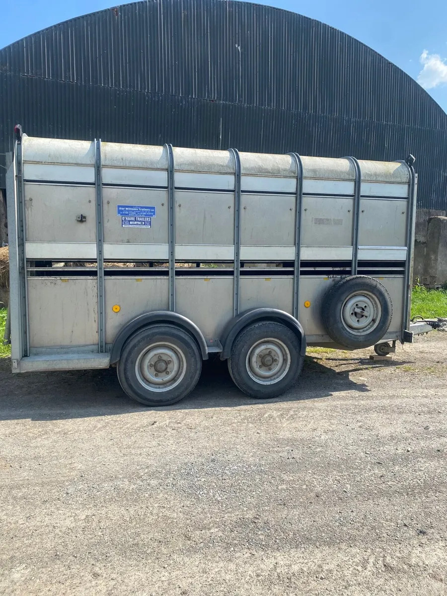Ifor Williams trailer - Image 1