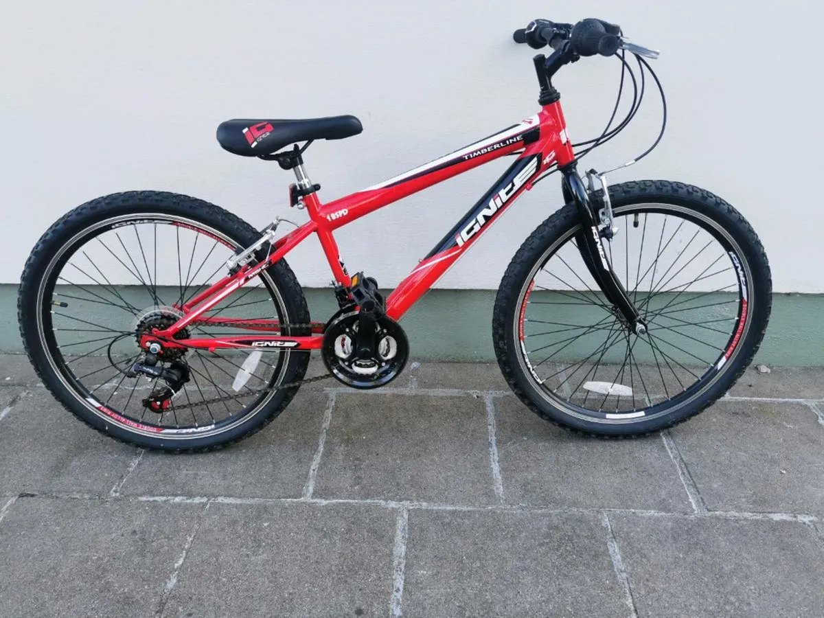 Mountain bicycle - Image 1