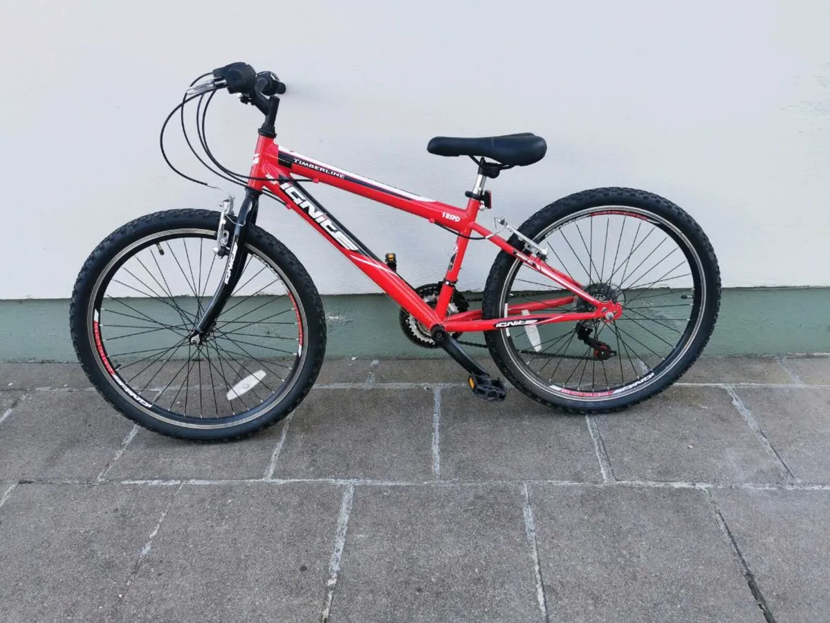 Mountain bicycle - Image 2