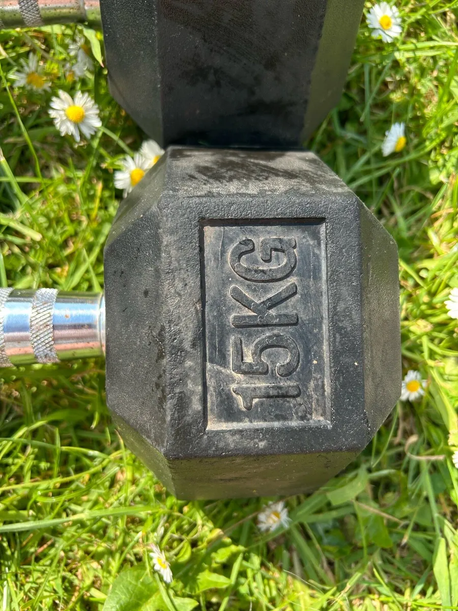 Dumbbell - Image 2