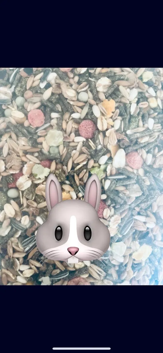 Rabbit / Guinea pig and chicken food - Image 2