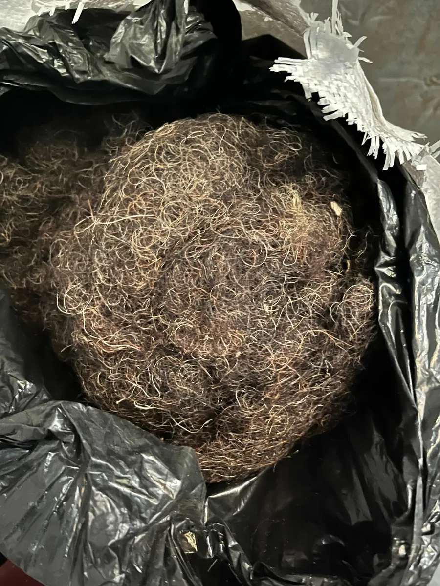 Horsehair for upholstery chairs antique seats