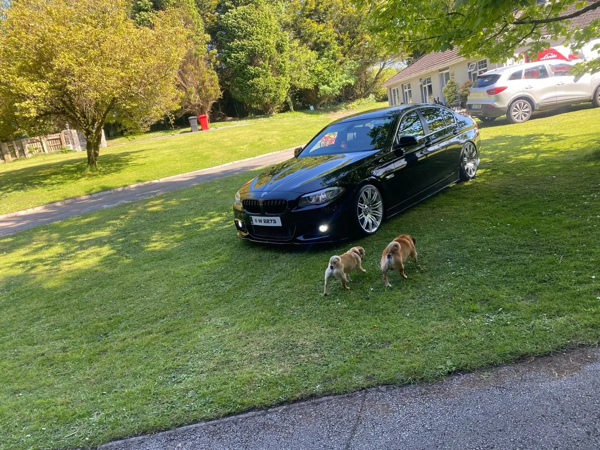 BMW 5 series F10 - Image 2