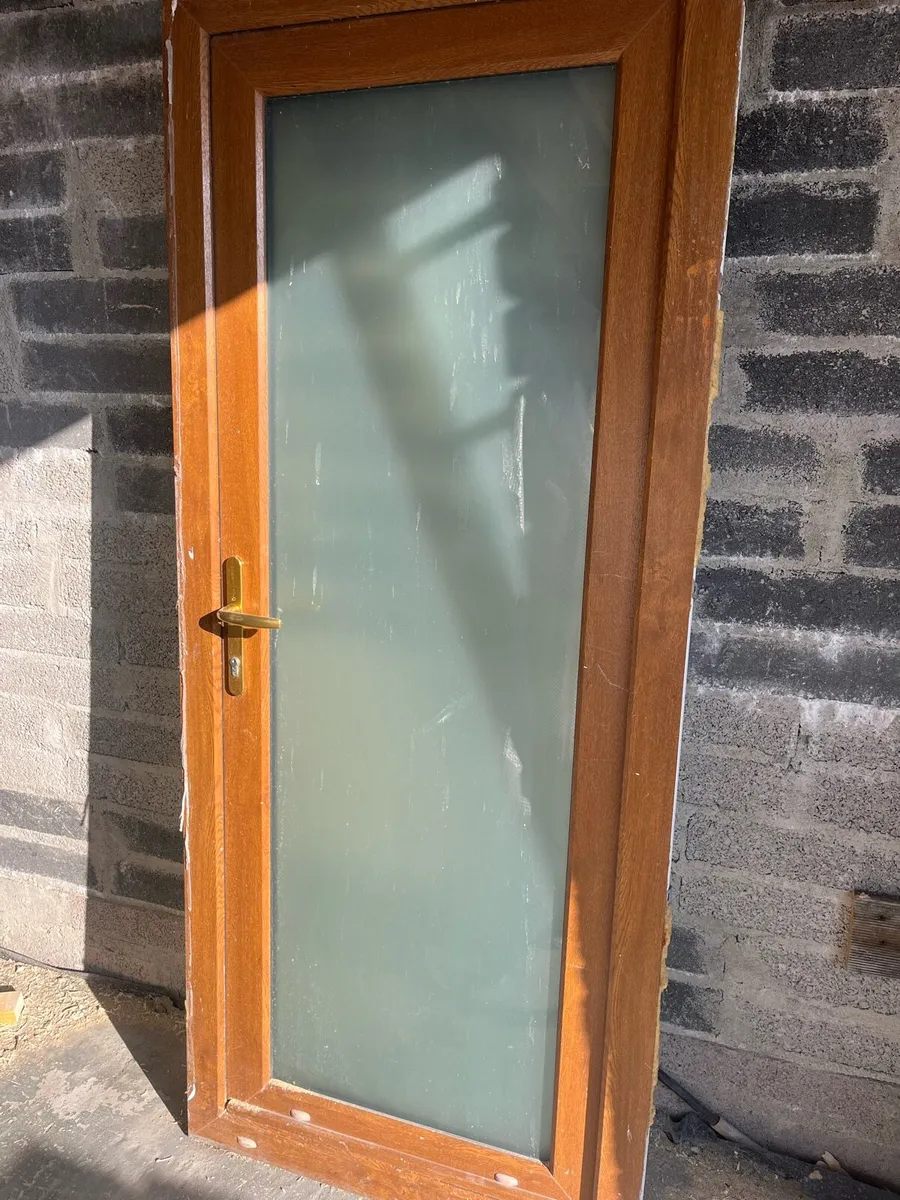 PVC door - Image 1