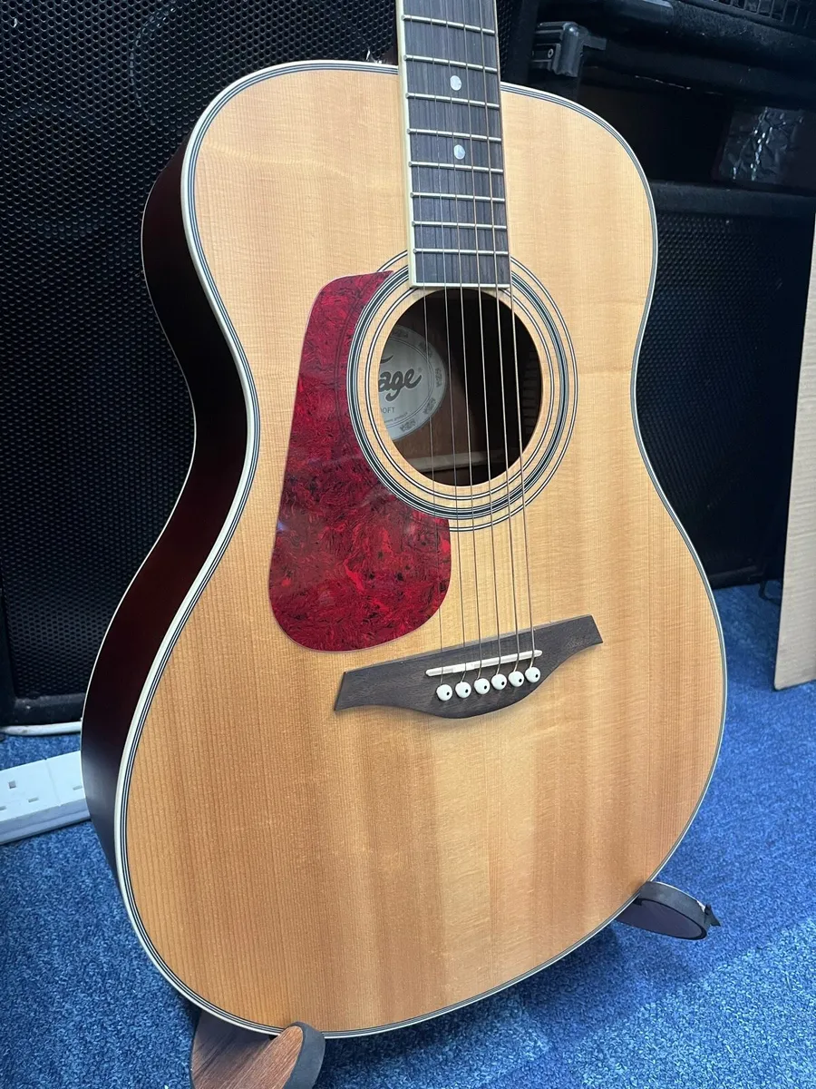 LH Vintage V300 Acoustic - Image 1