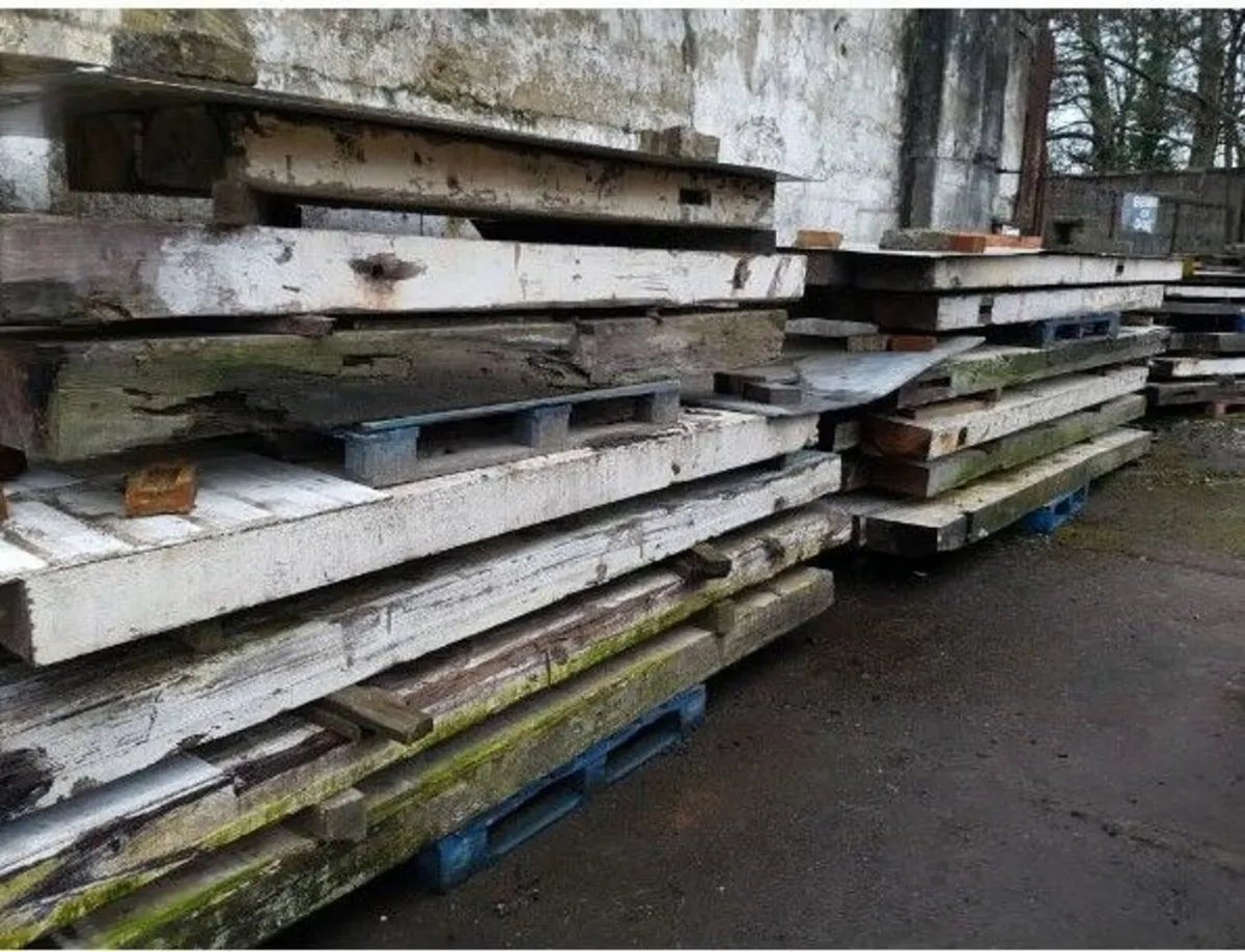 Pitch Pine – Beams – Raw State - Image 4