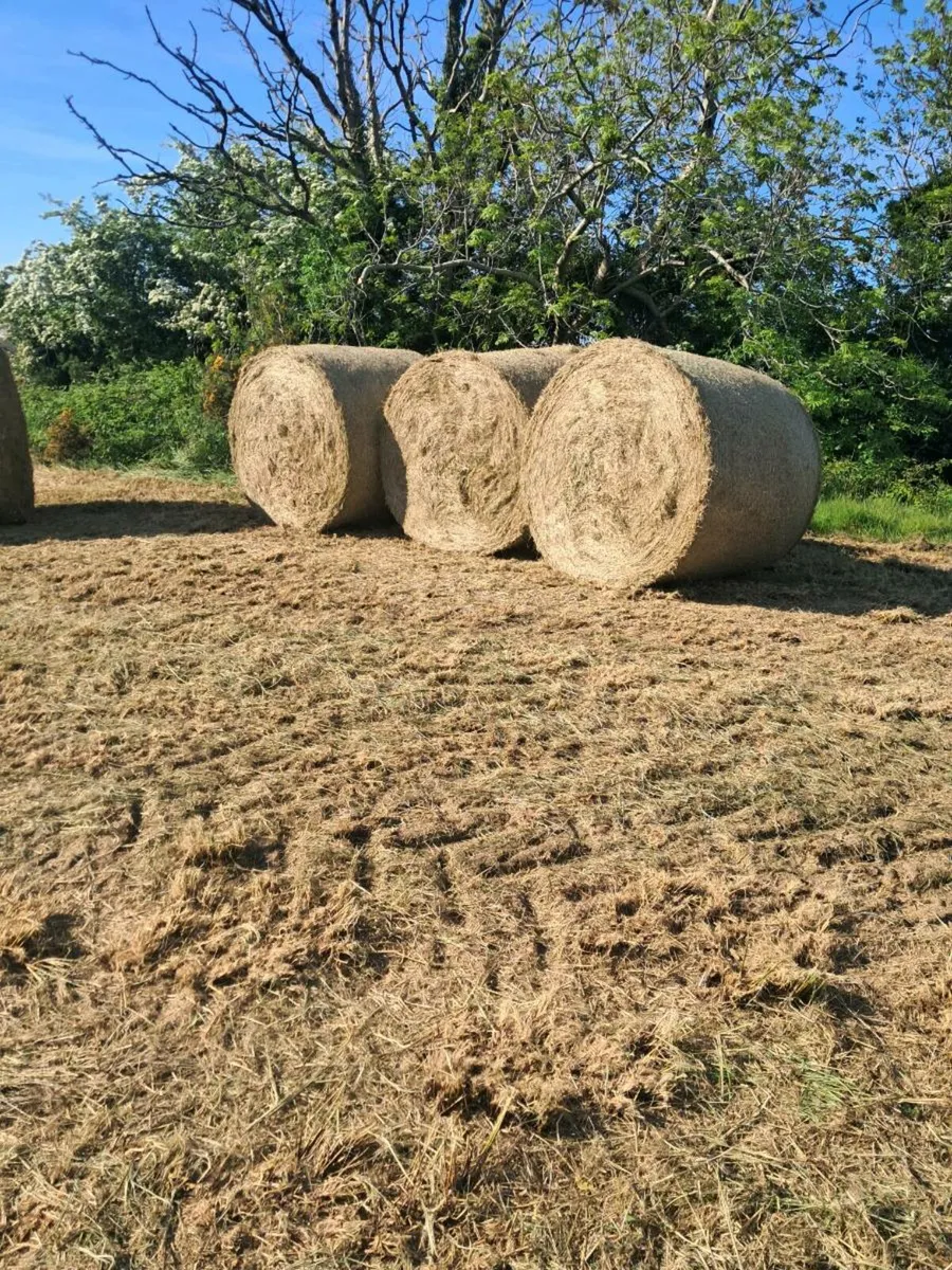 Bedding - Image 1