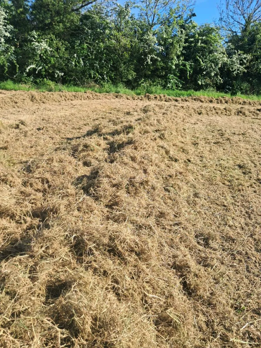 Bedding - Image 3